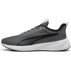 Flyer Lite 3