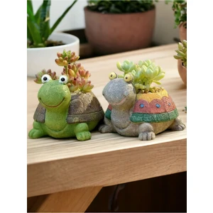 Dekoratif 2li Kaplumbağa Saksı Sukulent