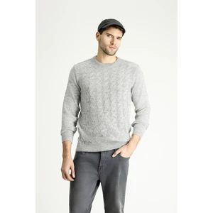 Bisiklet Yaka Slim Fit Dar Kesim Desenli Triko Kazak