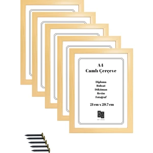 Batu Art Home 5 Adet A4 Çerçeve Gerçek Camlı Belge Diploma Resim Fotoğraf Asılabilir  21 x 29.7  cm