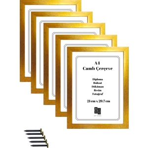 5 Adet A4 Çerçeve Mat Altın Renk Gerçek Camlı Belge Diploma Resim Fotoğraf Asılabilir  21 x 29.7  cm