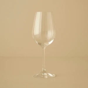 Bella Maison Fall Kristal Kadeh Naturel (350 cc)