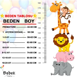 Ayı Desenli Erkek Bebek Hastane Çıkışı Bebek Kıyafetleri Yenidoğan Hastane Çıkış Seti 10 Lu Kutulu