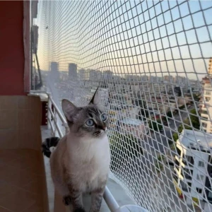 Kedi Filesi – 4 cm – 2.5 mm Ip – Kedi Ağı – Kare Desen - 2.5 Metre x 2 Metre