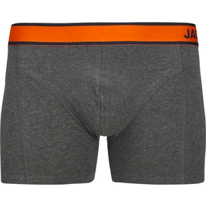 Erkek Logolu 3'lü Boxer Paketi - Rick