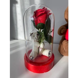 Dekoratif Sevgiliye Özel Hediye Işıklı Ayıcıklı Gül Fanus ,14 Şubat Hediyesi , Özel Gün Hediyesi