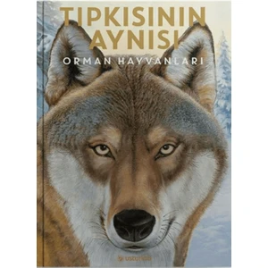 Tıpkısının Aynısı - Holger Haag