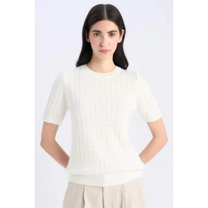 Regular Fit Bisiklet Yaka Basic Düz Triko Kısa Kollu Kazak D3306AX25SM