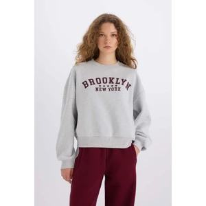 Loose Fit Bisiklet Yaka Baskılı Kalın Sweatshirt E3387AXNS