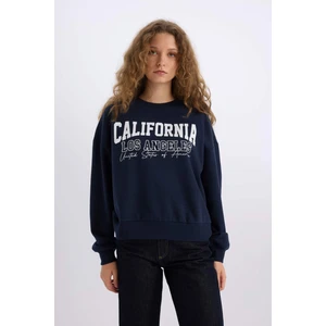 Loose Fit Bisiklet Yaka Baskılı Kalın Sweatshirt E3390AXNS