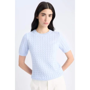 Regular Fit Bisiklet Yaka Basic Düz Triko Kısa Kollu Kazak D3306AX25SM