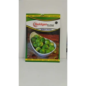 Goldgen Pro Seed Goldgen Brüksel Lahanası Tohumu