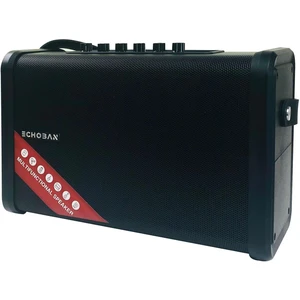 X6S 20 Watt Portable Amfi