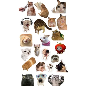 Komik Kedi, Kediler, Funny Sticker, Çıkartma, Ajanda, Günlük, Planlayıcı, Bullet Journal , Scrapbook