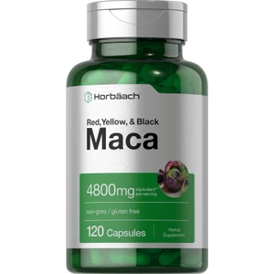 Horbäach Maca Root Matcha 4800MG | 120 Capsules