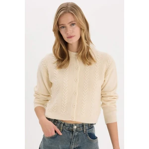 Basic Düz Bisiklet Yaka Triko Hırka E6322AX25SP