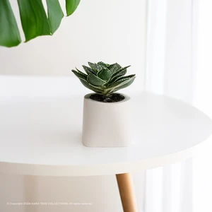 Modern, Şık ve Dekoratif Yuvarlak Köseli Beton Sukulent Saksısı - Küçük Boy (Bej - Kırık Beyaz)
