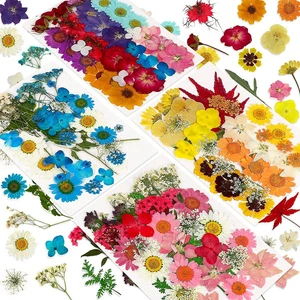 Auralia Brevity 144 Adet Doğal Kurutulmuş Preslenmiş Çiçekler Reçine, Kuru Çiçek Toplu Doğal Otlar Seti Mum, Epoksi Reçine, Dıy Sanat El Sanatları (Yurt Dışından)