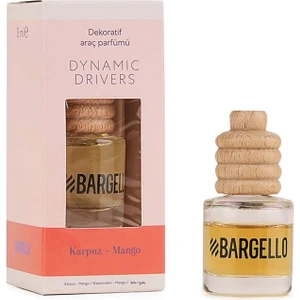 Dynamic Place karpuz Mango 8 ml Dekoratif Araç Kokusu