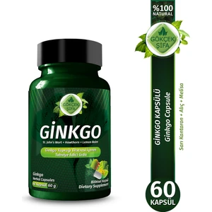 Ginkgo Kapsül (ginkgo Biloba Capsule )