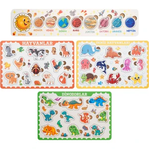 Montessori Frame 3 Bultak Ahşap Puzzle Seti / Eğitici ve Zeka Geliştirici Oyuncak