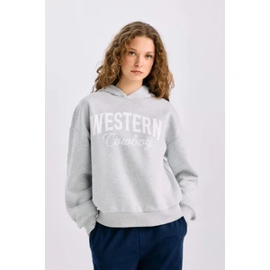 Oversize Geniş Kalıp Kapüşonlu Baskılı Kalın Sweatshirt E3658AXNS