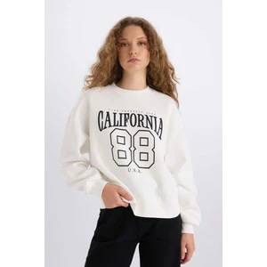 Loose Fit Bisiklet Yaka Baskılı Kalın Kumaş Sweatshirt E3388AXNS
