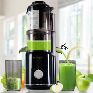 Slow Juicer Yavaş Sıkım Katı Meyve Sıkacağı Soğuk Sıkım Meyve Sıkacağı