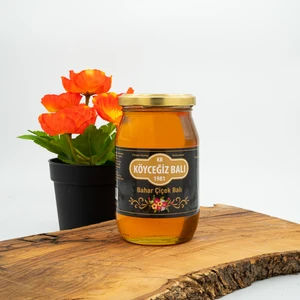Köyceğiz Balı Bahar Balı 450 G Cam Kavanoz