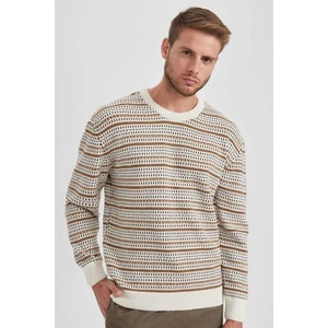 Standart Fit Normal Kesim Desenli Bisiklet Yaka Triko Kazak B1448AX23WN