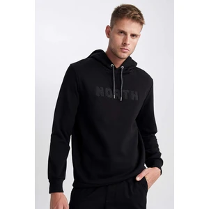 Regular Fit Kapüşonlu Baskılı Kalın Sweatshirt L5850AZ23AU