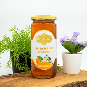 Köyceğiz Balı Narenciye Balı 660  GCam Kavanoz