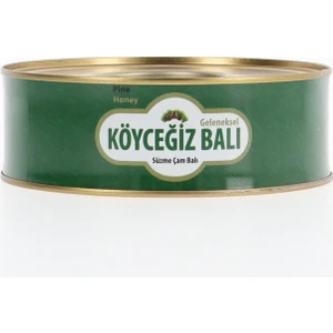 Köyceğiz Balı Çam Balı 850 G Teneke