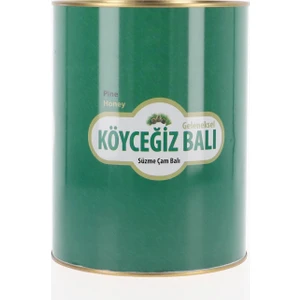 Köyceğiz Balı Çam Balı 4850 G Teneke