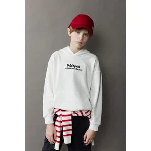 Erkek Çocuk Oversize Geniş Kalıp Kapüşonlu Nakışlı Sweatshirt D8498A825SP