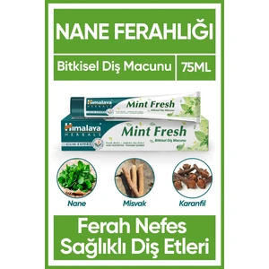 Nane Ferahlığı Bitkisel Diş Macunu, Florürsüz, Parabensiz, Vejeteryan, Ferah Nefes, 75 ml