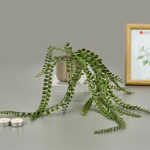 Simple Living Mika Saksılı Okaliptüs Sarkıtı - Yeşil / Bej