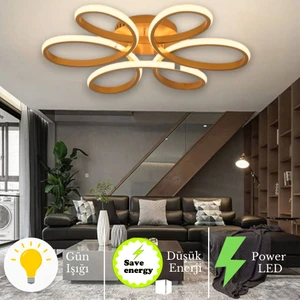 Linup Modern Plafonyer Tavana Sıfır LED Avize Gün Işığı