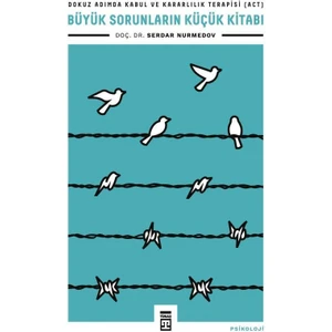 Büyük Sorunların Küçük Kitabı - Serdar Nurmedov