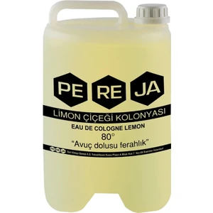 Limon Kolonyası 3 Lt Bidon