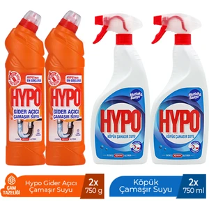 Gider Açıcı Çamaşır Suyu Çam Tazeliği 750 gr x 2 + Hypo Köpük Çamaşır Suyu 750 ml x 2