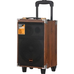 Baab Q12 Profosyonel Ahşap Kasa Taşınabilir Büyükboy 40X33X60 Kumanda Mikrofon,bluetoothlu,hoparlör