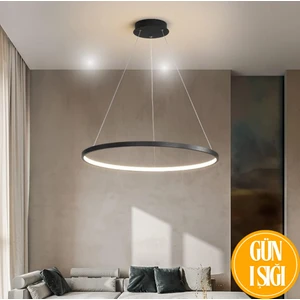 Robin Modern Tekli Siyah Sarkıt Avize Gün Işığı