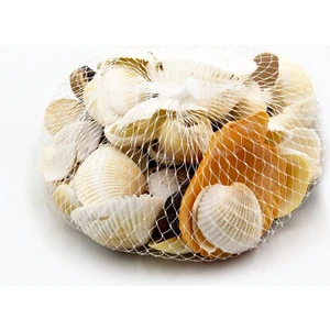 Deniz Kabuğu Filede 200 gr