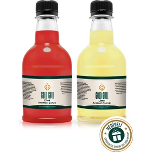 Gold Gull Çilek & Lime Aromalı Kahve & Meyve Şurubu 2 x 300 ml