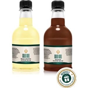 Gold Gull Beyaz Çikolata & Karamel Aromalı Kahve & Meyve Şurubu 2 x 300 ml