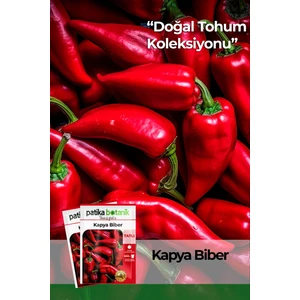 200 Adet Kapya Biber Tohumu