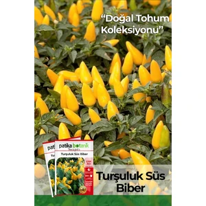 200 Adet Turşuluk Süs Biberi