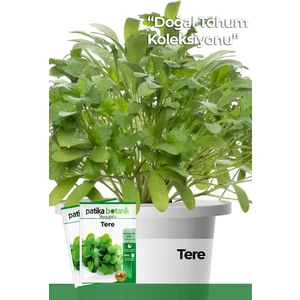 Patika Botanik 5000 Adet Geniş Yapraklı Tere Tohumu