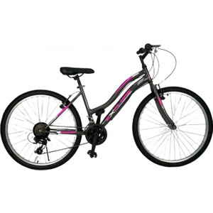 2434 24 Explorer Bayan Mtb V Fren 21 V. Srn Ümit Bisiklet (Siyah Pembe)